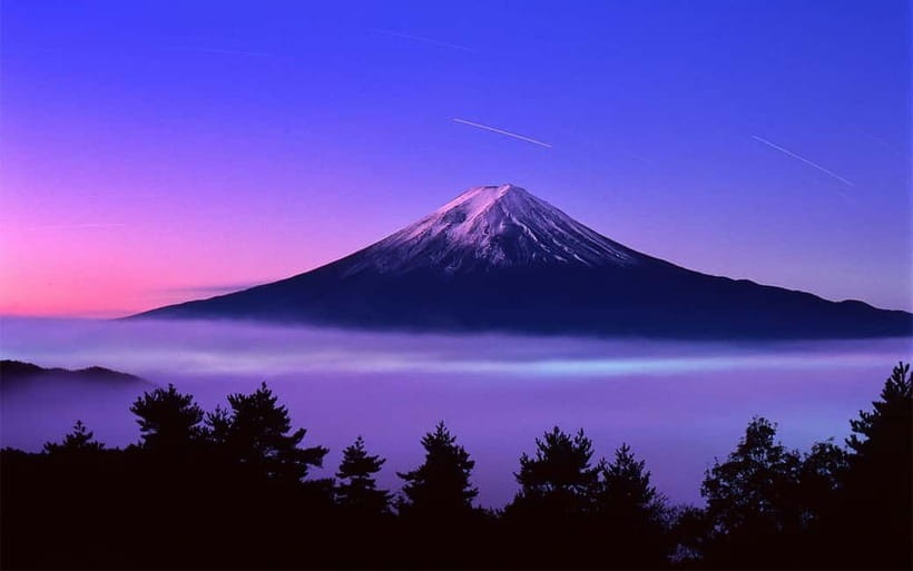 From Tokyo: Mount Fuji Private Tour With English Guide - Mount Fuji 5th Station: The Highest Vehicle View You Can Get