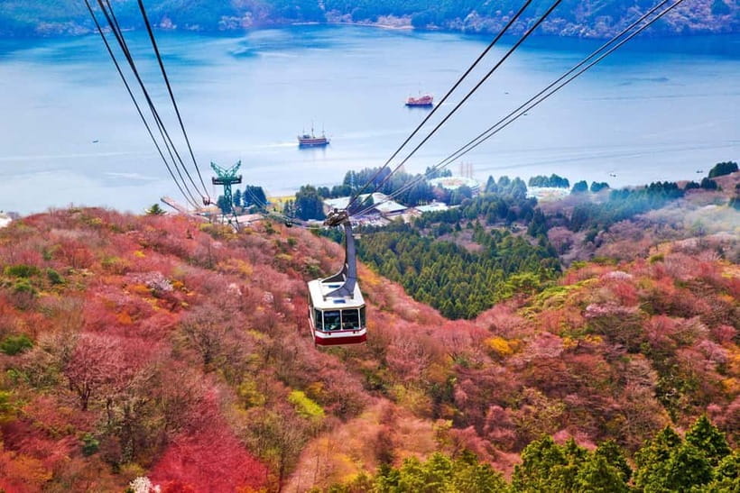 From Tokyo: Mount Fuji Private Tour With English Guide - Lake Kawaguchi: Fuji Reflections and a Lunch Break With a View