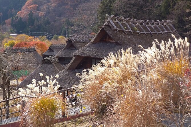 From Tokyo: Mount Fuji Sightseeing Full Day Trip - Oshino Hakkai spring ponds: clear-water springs and walking pace