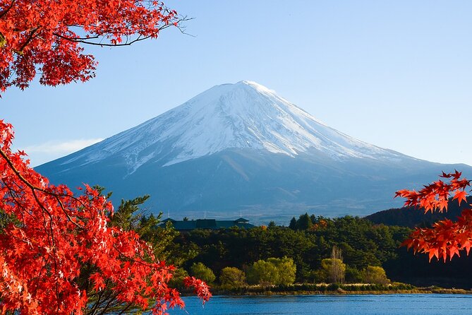 From Tokyo: Mount Fuji Sightseeing Full Day Trip - Chureito Pagoda and Arakura Fuji Sengen Shrine: classic Fuji postcard views