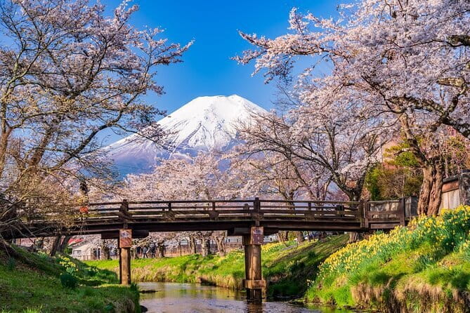 From Tokyo: Mount Fuji Sightseeing One Day Trip - Key points before you go