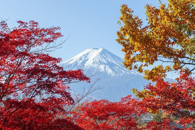 From Tokyo: Mount Fuji Sightseeing One Day Trip - Price and What You Get for $58.90