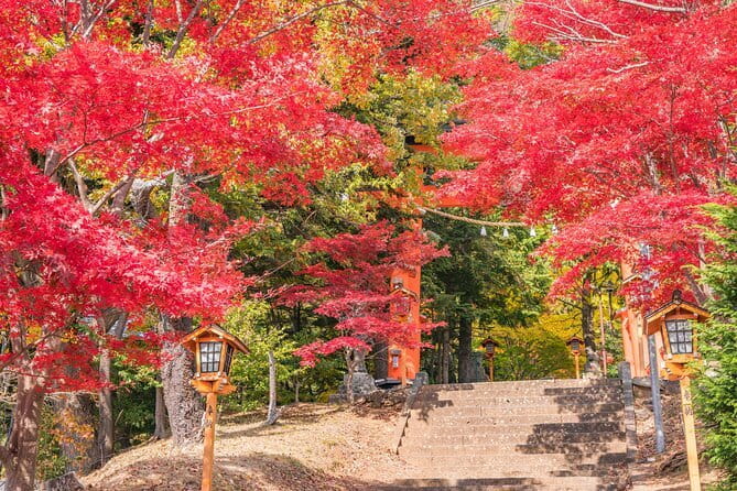 From Tokyo: Mount Fuji Sightseeing One Day Trip - Ride Comfort and Timing: Why the Day Feels Manageable