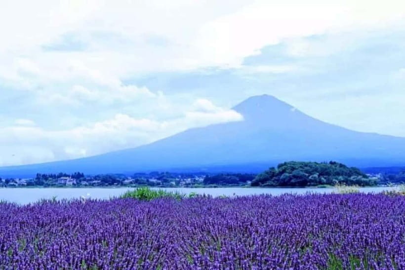 From Tokyo: Mt. Fuji 5th station and Oshino Hakkai Day Trip - Shinjuku Meeting at the LOVE Statue: Why This Start Works