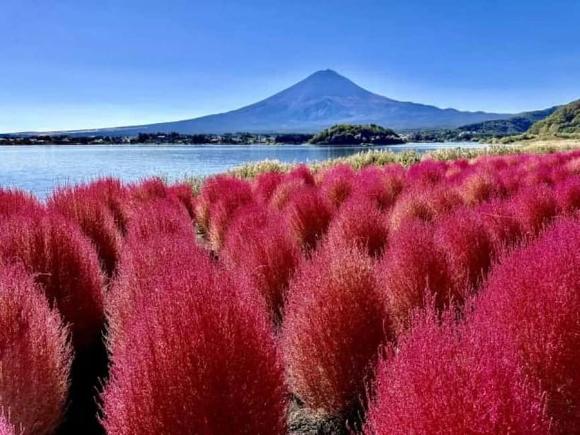 From Tokyo: Mt. Fuji 5th station and Oshino Hakkai Day Trip - Mt. Fuji 5th Station at 2,300 Meters: Your Best Shot at the Peak