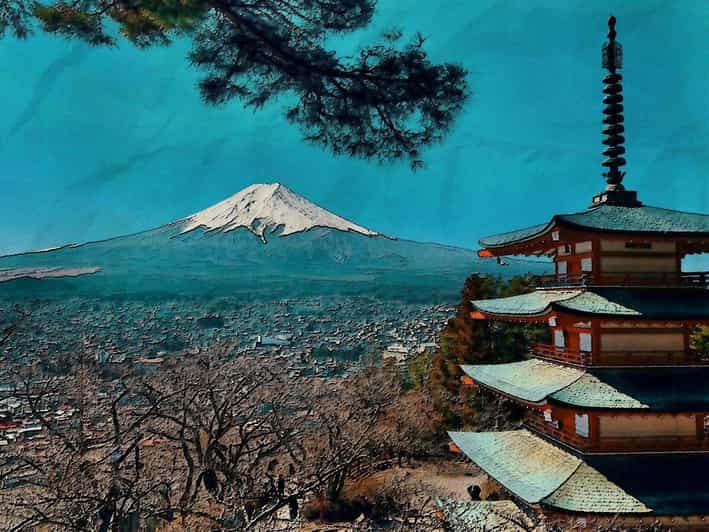 From Tokyo: Mt. Fuji And Hakone Private Sightseeing Day Trip - Key things to know before you go