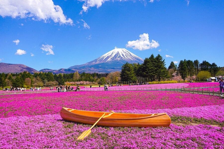 From Tokyo: Mt. Fuji And Hakone Private Sightseeing Day Trip - Guide quality can make or break a private day