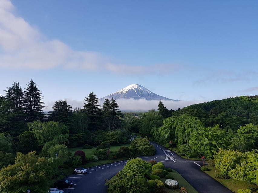 From Tokyo: Mt. Fuji And Hakone Private Sightseeing Day Trip - Tokyo pickup that actually saves you time