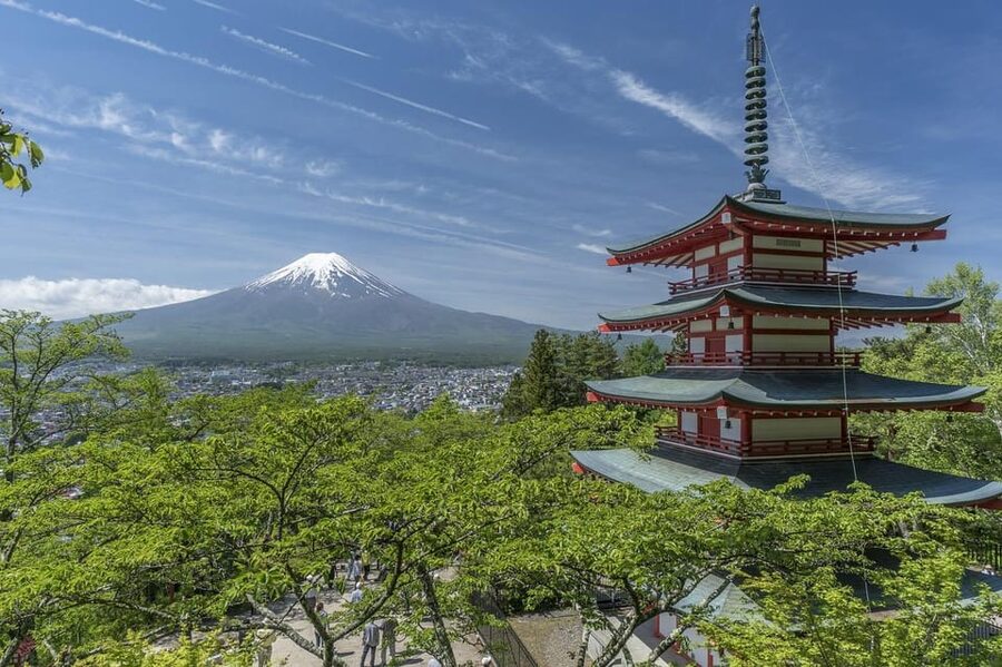 From Tokyo: Mt. Fuji And Hakone Private Sightseeing Day Trip - Budget and value: what you’re really paying $419 for