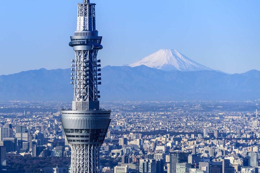 From Tokyo: Mt. Fuji Customizable Full day private Tour - Key highlights worth your time