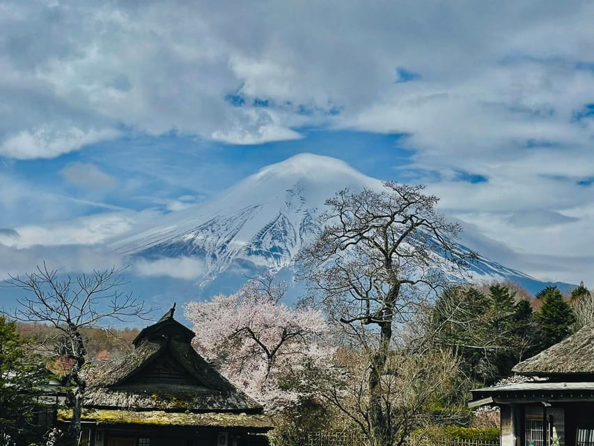 From Tokyo: Mt. Fuji Customizable Full day private Tour - Tokyo pickup that actually fits real travel plans