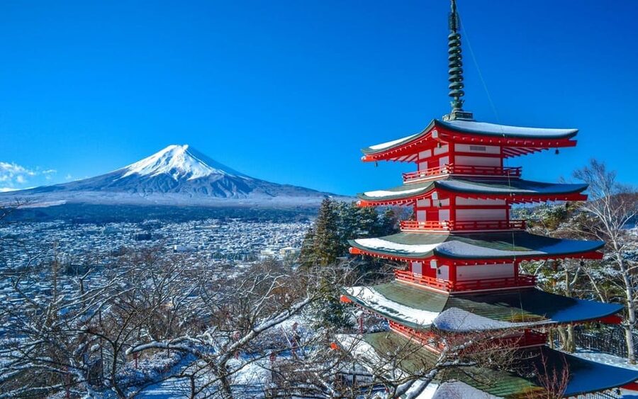 From Tokyo: Mt. Fuji Customizable Full day private Tour - Arakurayama Sengen Park: time for views and walking