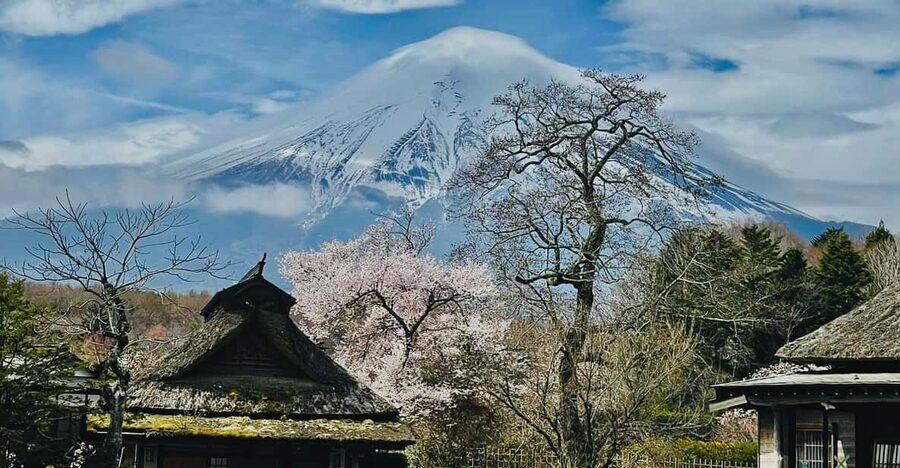 From Tokyo: Mt. Fuji Customizable Full day private Tour - Shrine stop number two: Kitaguchi-hongu Fuji Sengen Shrine
