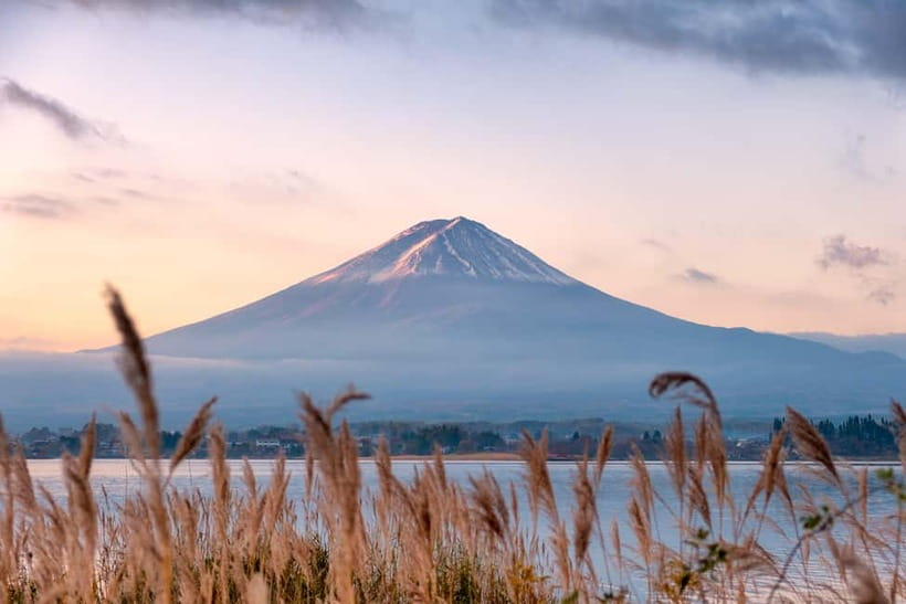 From Tokyo: Mt.Fuji & Gotemba Private Customizable Day Trip. - Why this Mt. Fuji plus Gotemba pairing works (and who it doesn’t)