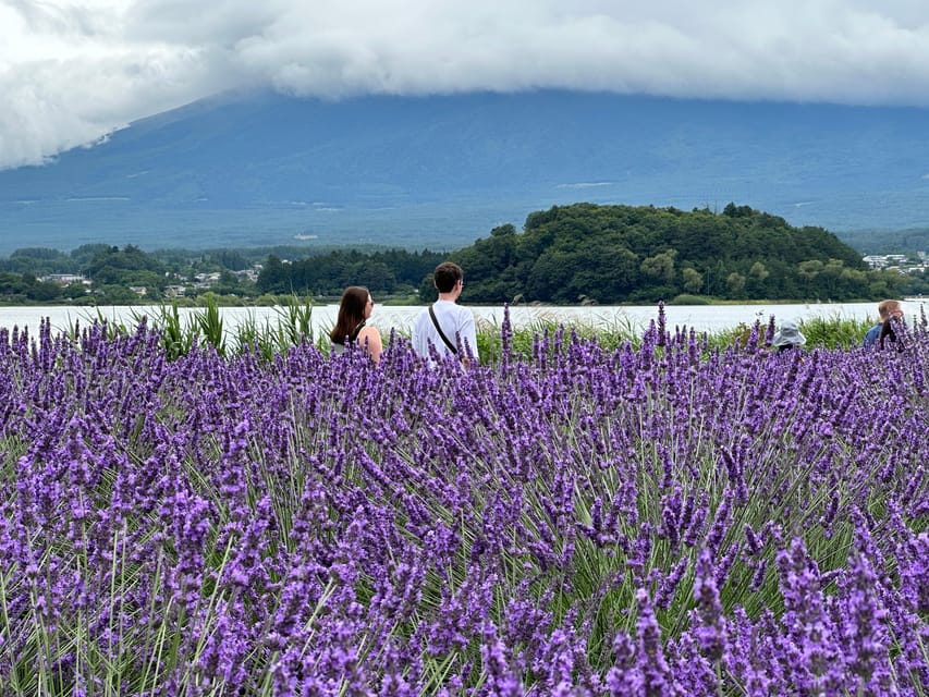 From Tokyo: Mt.Fuji & Gotemba Private Customizable Day Trip. - Gotemba Premium Outlets: shopping time that actually fits