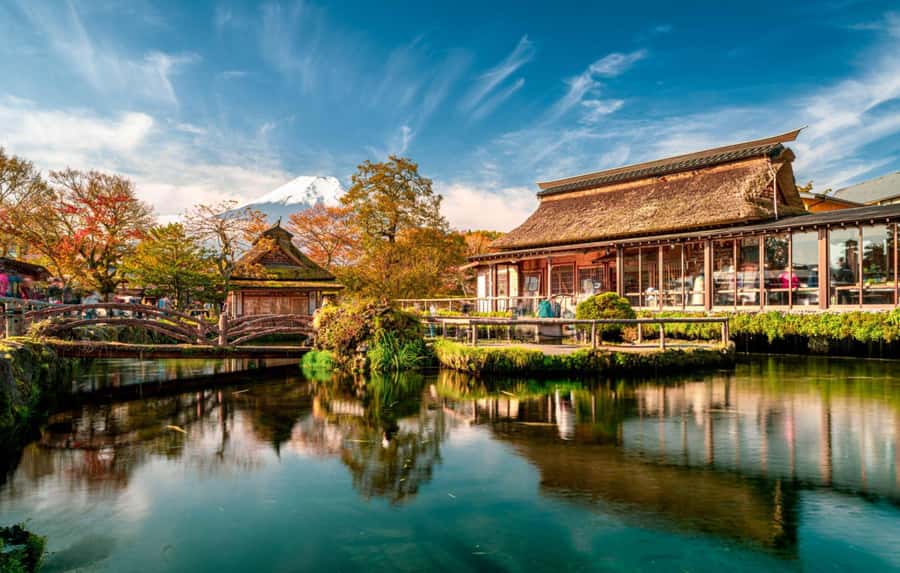 From Tokyo: Mt. Fuji & Hakone Private Day Tour (Low Price) - Who this private day tour fits best