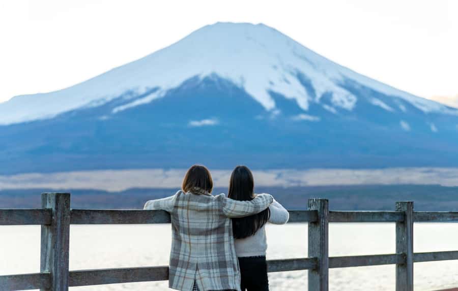 From Tokyo: Mt. Fuji & Hakone Private Day Tour (Low Price) - Price and logistics: how this private day tour stays affordable