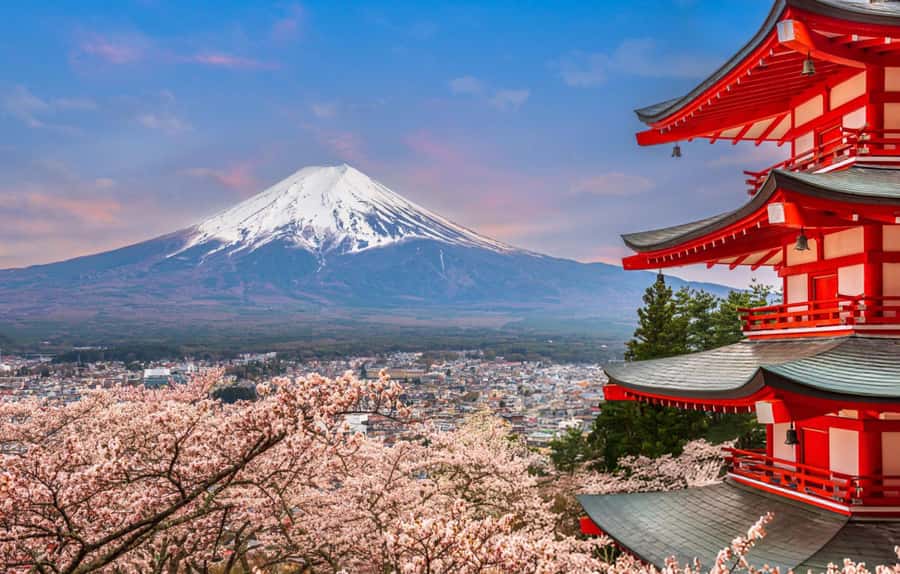 From Tokyo: Mt. Fuji & Hakone Private Day Tour (Low Price) - Ropeways and Owakudani steam valley: the volcanic stop that earns its time