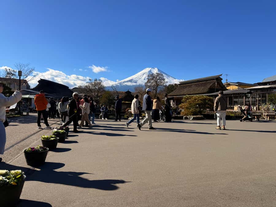 From Tokyo: Mt. Fuji & Hakone Private Day Tour (Low Price) - What to budget for tickets, comfort, and day-long walking