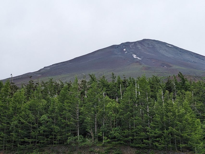 From Tokyo: Mt. Fuji & Hakone Tour w/ Return by Bullet Train - Lake Ashi Cruise: When Mt. Fuji Shows Up in the Water