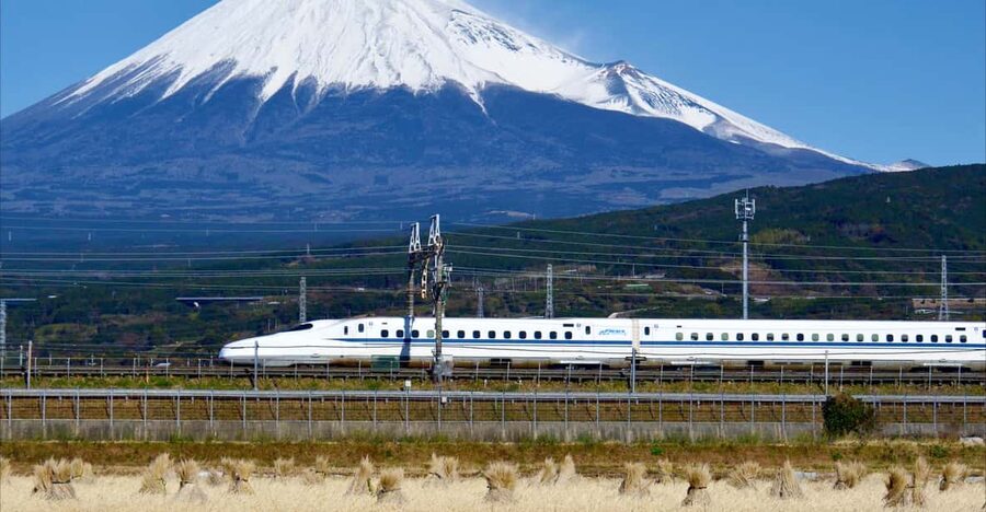 From Tokyo: Mt. Fuji & Hakone Tour w/ Return by Bullet Train - Price and What You Get for Around $117