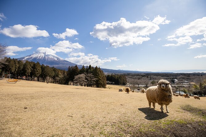From Tokyo Mt.Fuji, Lake Kawaguchi, Makaino Farm day tour - Timing on the Bus: Commentary, Photo Stops, and Finding Your Groove