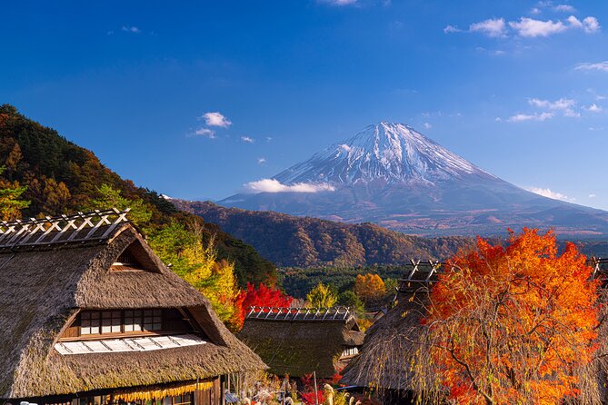 From Tokyo Mt.Fuji, Lake Kawaguchi, Makaino Farm day tour - Weather Reality: When Fuji Shows Up (and When It Doesn’t)