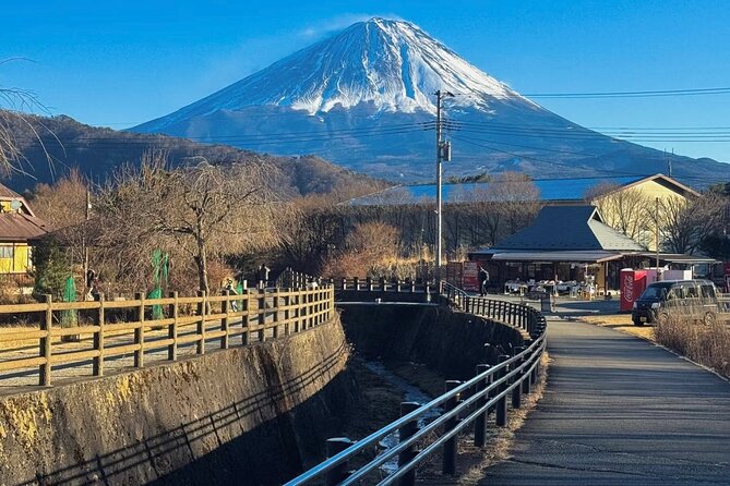 From Tokyo Mt.Fuji, Lake Kawaguchi, Makaino Farm day tour - Who This Mt. Fuji Farm Day Trip Fits Best