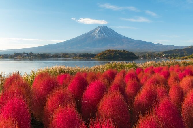From Tokyo Mt.Fuji, Lake Kawaguchi, Makaino Farm day tour - Saiko Iyashi no Sato Nemba: Thatched Village Time Near Fuji