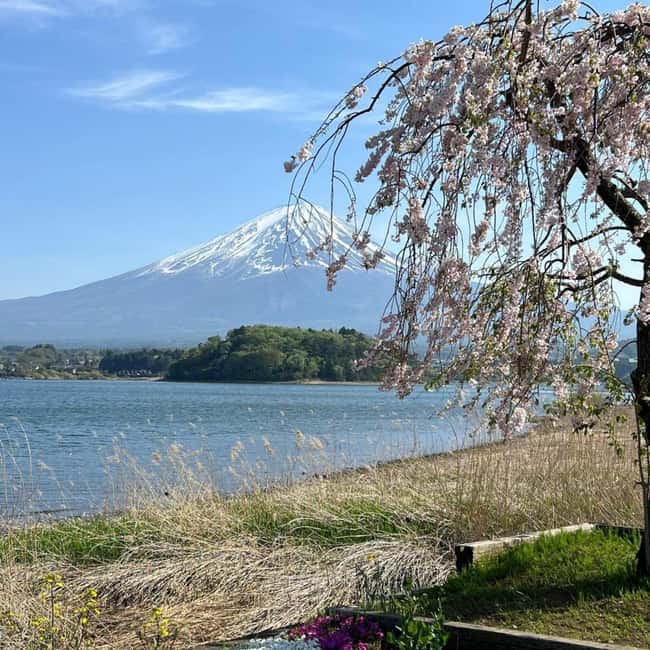 From Tokyo: Mt Fuji Private Day Tour In Luxury Land Cruiser - Key things I’d watch for