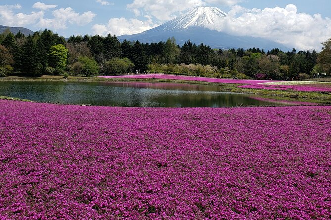 From Tokyo-MT Fuji PVT 1 Day Customized Tour with English Driver - Arakura Pagoda, Kawaguchiko, Oshino Hakkai, and Oishi Park in one day