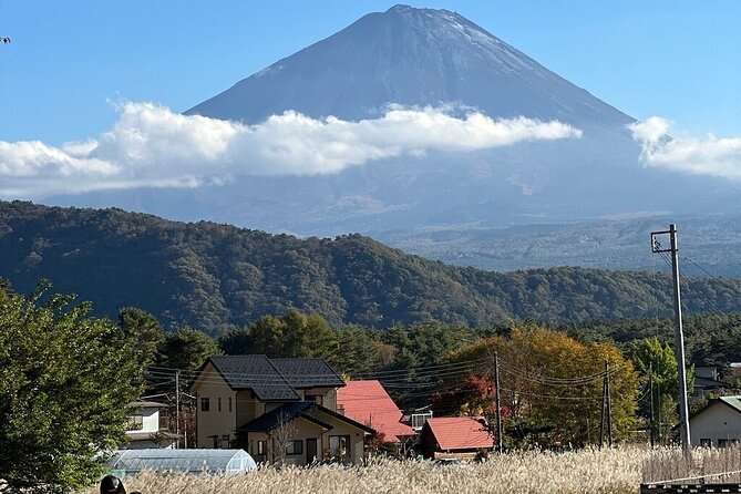 From Tokyo-MT Fuji PVT 1 Day Customized Tour with English Driver - Shrines and sacred approach at Kitaguchi Hongu Fuji Sengen Jinja