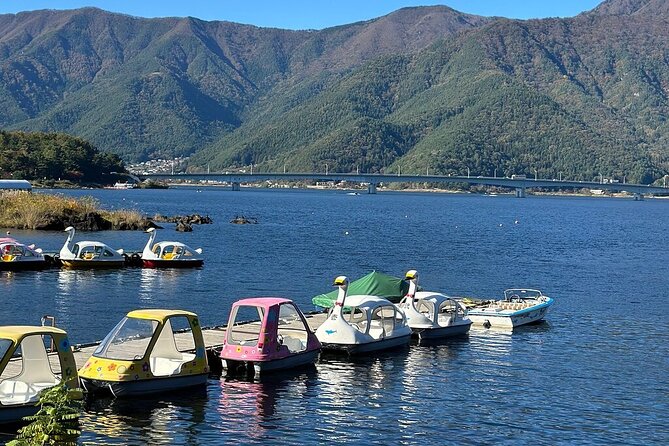 From Tokyo-MT Fuji PVT 1 Day Customized Tour with English Driver - Driver, English, and comfort: what to expect from the people behind the wheel