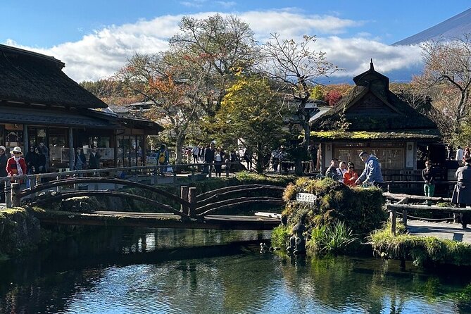 From Tokyo-MT Fuji PVT 1 Day Customized Tour with English Driver - Price and value: is $400 per group a good deal?