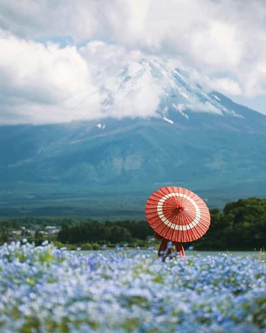 From Tokyo: Must-Visit Mount Fuji Highlight Full-Day Tour - Honcho Street, Lawson Fujikawaguchiko, and the photo logistics you can control