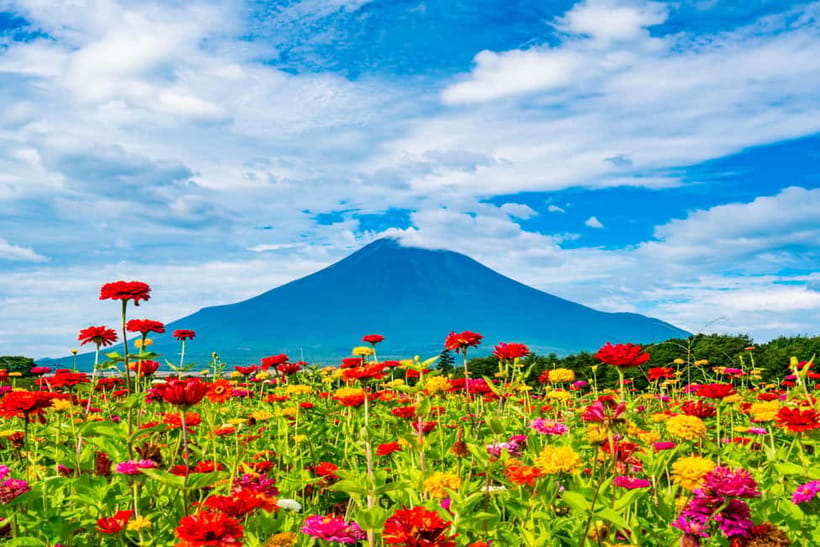 From Tokyo: Must-Visit Mount Fuji Highlight Full-Day Tour - Lake Yamanaka and Obuchi Sasaba: calmer pacing, big sky, and tea fields