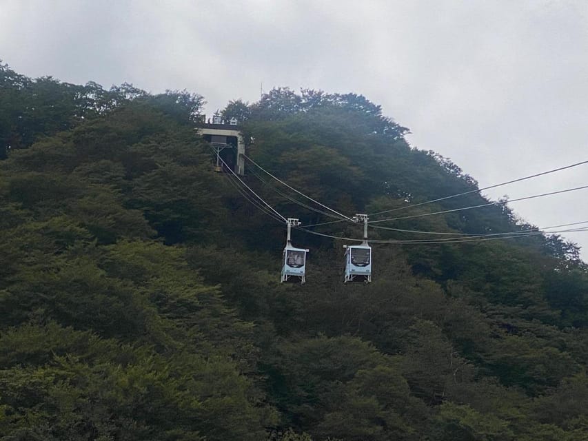 From Tokyo: Nikko Customised Private 1 Day Sightseeing Tour - Nikko National Park: short walk time that matters