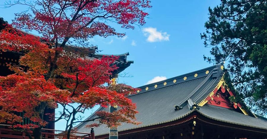 From Tokyo: Nikko Customize private Tour With English Driver - Key things I’d plan around