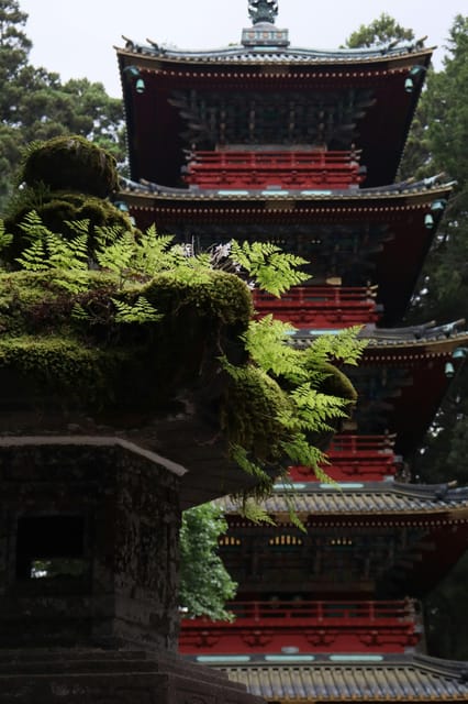 From Tokyo: Nikko Customized Private English Full-Day Trip - Kegon Falls (100 Meters): When the Day Turns Spectacular
