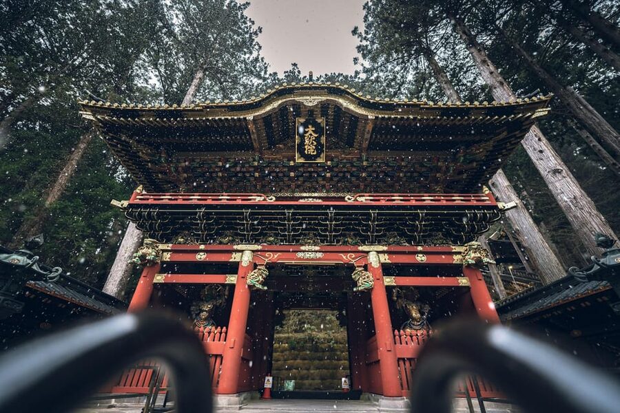 From Tokyo: Nikko Full-Day Sightseeing Trip - Guide Style That Makes the Day Feel Personal