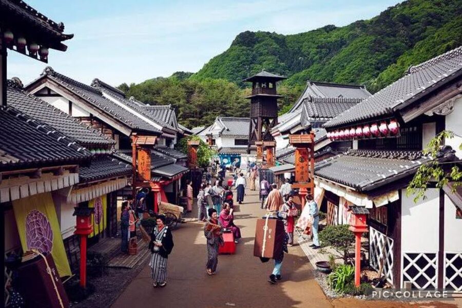 From Tokyo:Nikko Full Day Tour w/Hotel Pickup by Private Car - Private car from Tokyo: why it’s worth paying for