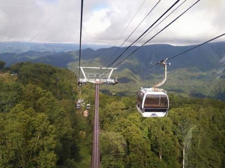 From Tokyo: Nikko luxury Tour with English-speaking Guide - Shinkyo Bridge: the first wow, plus an easy warm-up walk