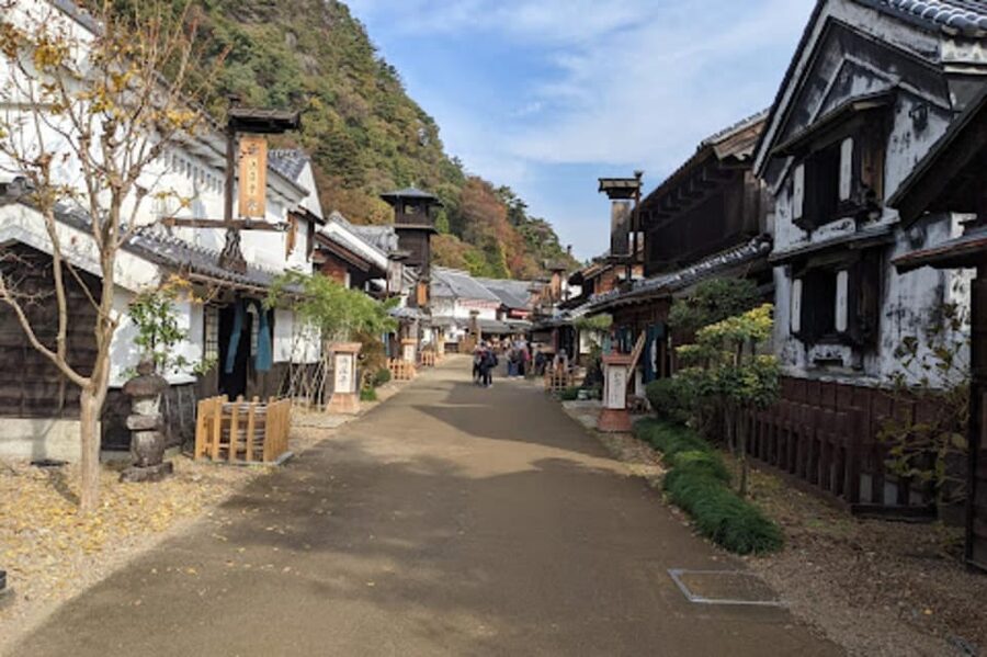 From Tokyo: Nikko luxury Tour with English-speaking Guide - Toshogu Shrine and Tokugawa Ieyasu: where you should slow down
