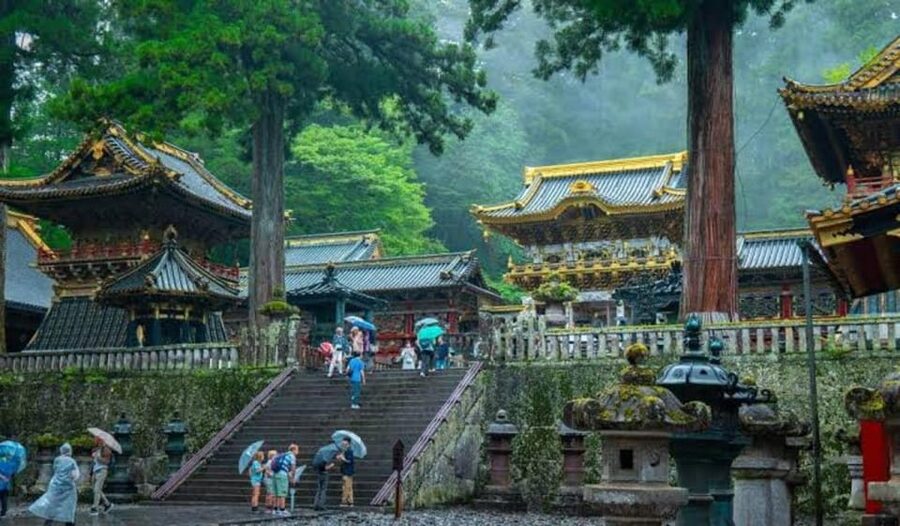 From Tokyo: Nikko luxury Tour with English-speaking Guide - Nikko Futarasan Jinja: a quieter stop with real cultural weight