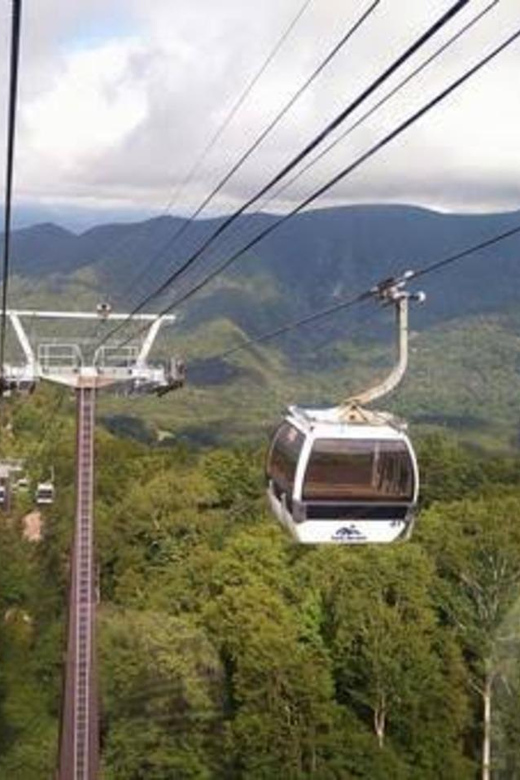 From Tokyo: Nikko luxury Tour with English-speaking Guide - Your private ride from Tokyo (and why comfort matters)