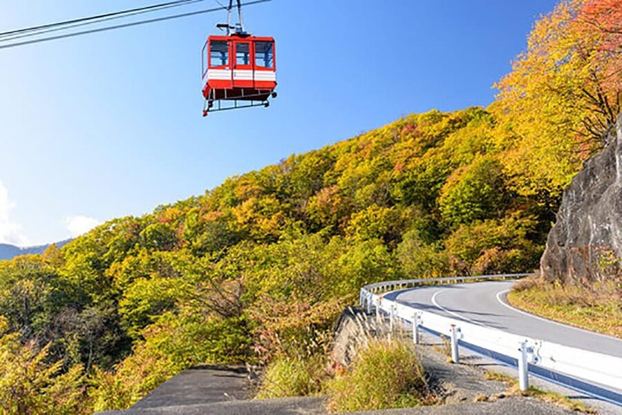 From Tokyo: Nikko Private Tour with English-speaking Guide - UNESCO Nikko Toshogu Shrine + Shinkyō Bridge: The Red-Bridge Moment