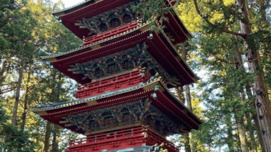 From Tokyo: Nikko World Heritage Full Day Private Tour - Price and value for a group up to 6