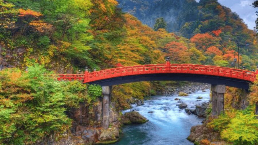 From Tokyo: Nikko World Heritage Full Day Private Tour - Hotel pickup and the drive: comfort, timing, and what to watch for