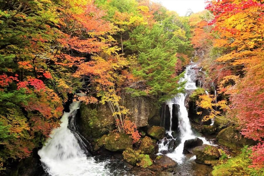 From Tokyo: Nikko World Heritage Site Private Full-Day Trip - The Real Value of 100% Private Luxury Transport