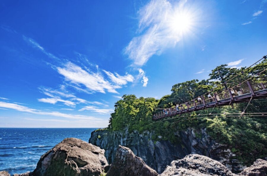 From Tokyo: Private Day Trip to Izu & Shimoda, Shizuoka - Key Highlights You’ll Actually Feel